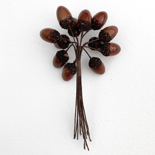 12 Brown Lacquered Acorns for Fall Crafts ~ 3/4" Tall